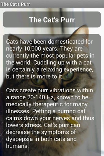 The Cat's Purr