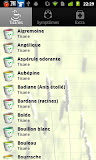 Tisanes et Infusions