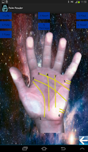 Download PalmGuru APK for Android