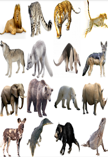How to download Natural Sounds of the Animals 1.2 apk for pc