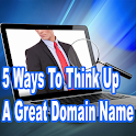 Domain Name Info logo