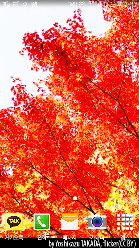 Autumn Red LiveWallpaper