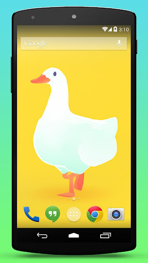 Duck Live Wallpaper