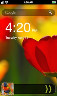 【免費程式庫與試用程式App】Parrot Lock Screen-APP點子