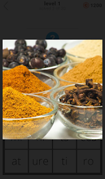 1 Pic 1 Clue: Word Search Game poster 10