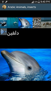 Arabic Picture animals(圖4)-速報App