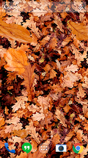 Autumn leaves 3D LWP(圖5)-速報App