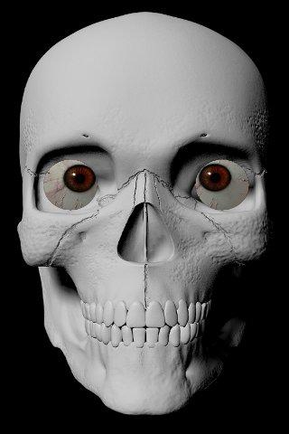 StareDCat Skele Screen 2