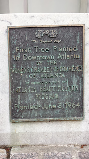Dogwood City First Tree Planted