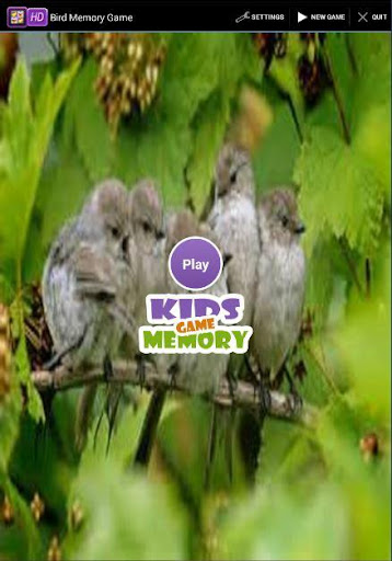 Bird Memory Game