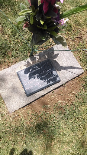 Portal – Ingress Intel