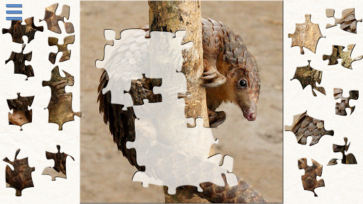 Safari Jigsaw Puzzles Premium