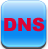 DNS Setting logo