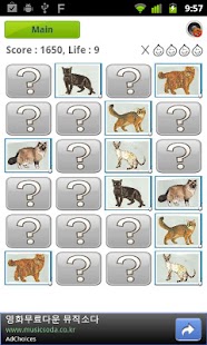 Cat Quiz Screenshots 3