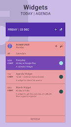 Everyday Calendar Widget 3