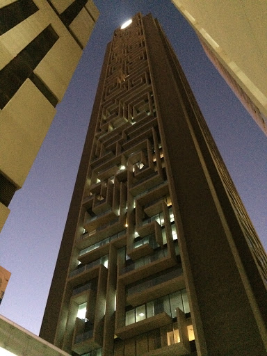 Maze Tower Rises