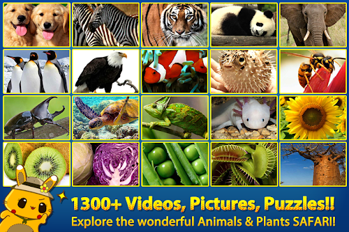 Android application ABC SAFARI - VIDEOS &amp; PICTURES screenshort