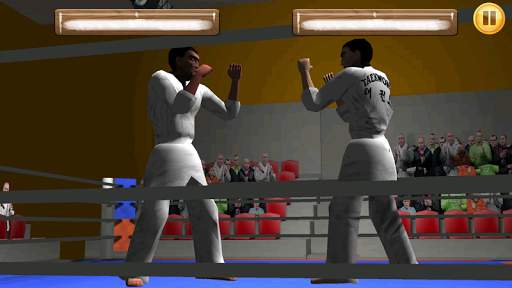 Taekwondo Fight