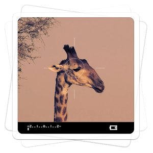 Aviary Effects: Viewfinder logo
