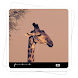 Aviary Effects: Viewfinder icon