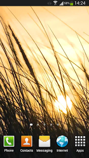 download Grass Live Wallpaper HD free