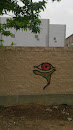 The Eye Graffiti