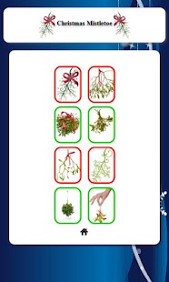 Free Christmas Mistletoe APK for Android