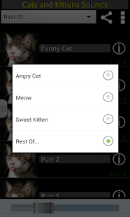 How to get Cats & Kittens Sounds 1.0.1 apk for laptop