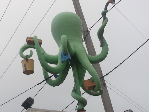 Such Greater Octopus