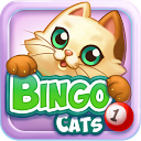 Bingo Cats mobile app icon