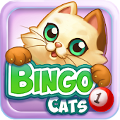 Bingo Cats