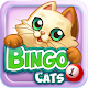 Bingo Cats