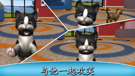 Daily Kitten : 虚拟宠物猫小猫动物(圖4)-速報App