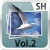 SH3D写真集 Vol.2