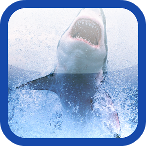 Shark Hungry Attack 解謎 App LOGO-APP開箱王