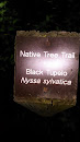 Native Tree Trail