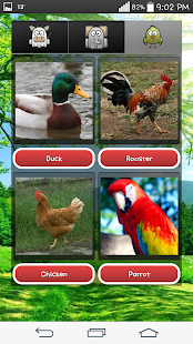 اصوات الحيوانات للاطفال ‎(圖3)-速報App