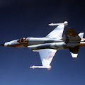 Northrop F-5 Tiger PRO Apk