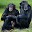 Monkeys For Kids - Animal Apps Download on Windows