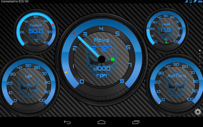 SkullZ Torque Theme OBD 2 Screen 3