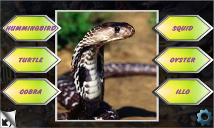 Learning games for kids by AppQuiz poster 8