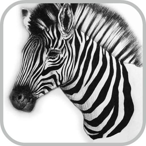 How To Draw Zebra LOGO-APP點子