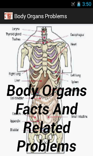 Human Anatomy