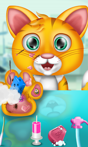 Cat Caring Game - Vet Games