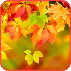 Autumn Live Wallpaper.apk 1.0.0