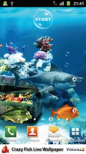 Crazy Fish Live Wallpaper Free