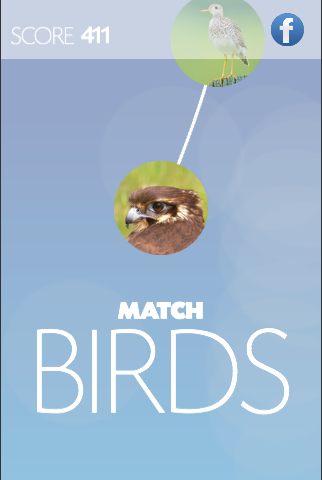 matchBIRDS Free