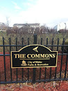 Commons Parks and Rec