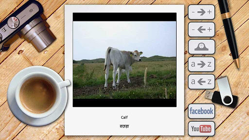 【免費教育App】Hindi Picture Dictionary-APP點子