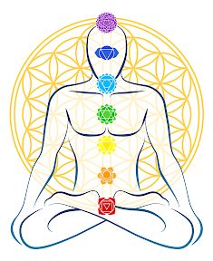 Healthy Energy Healing logo
